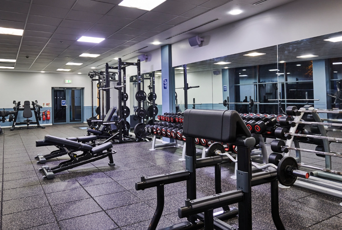 Crook Log Gym