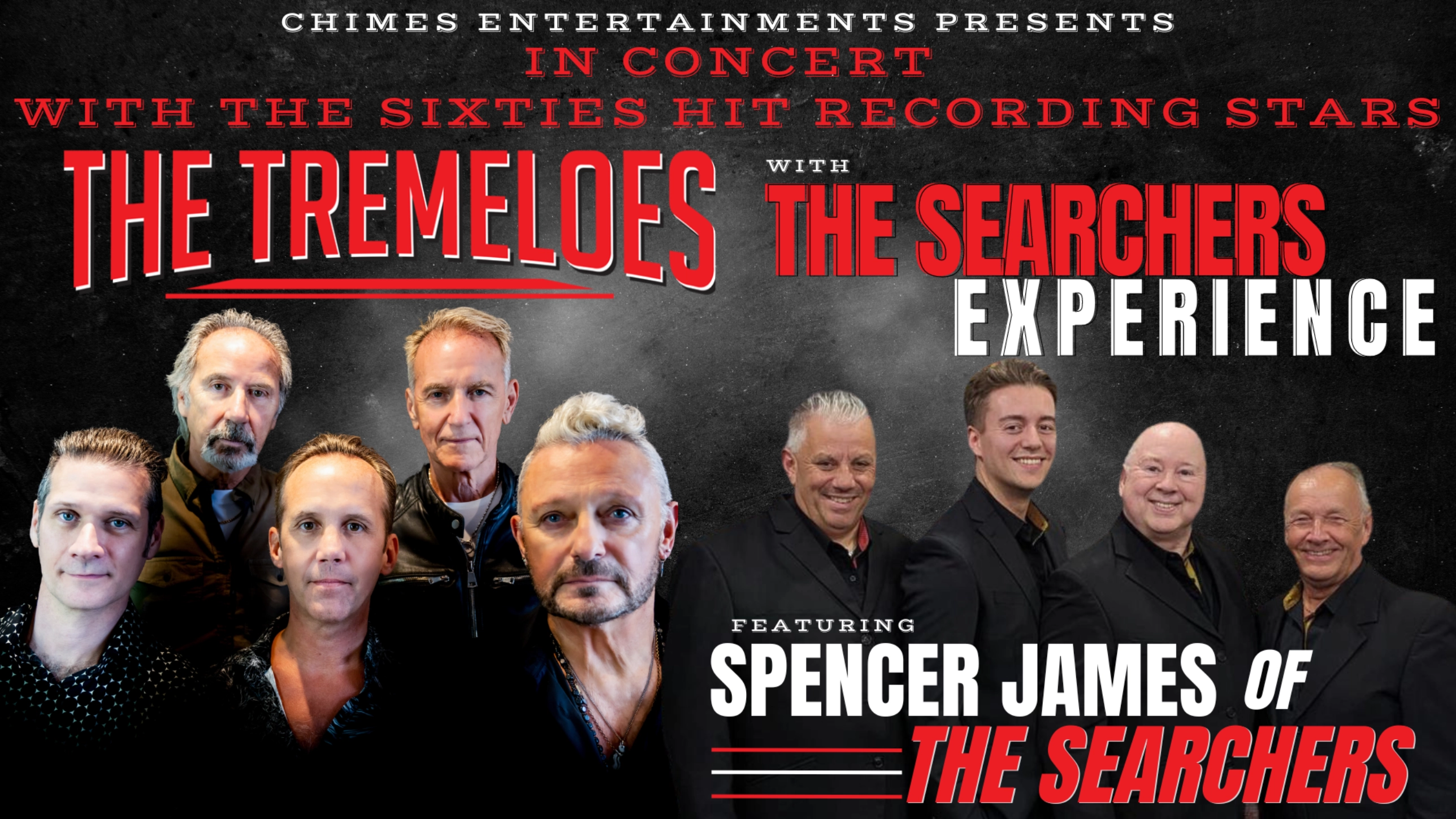 The Tremeloes & The Searchers Experience