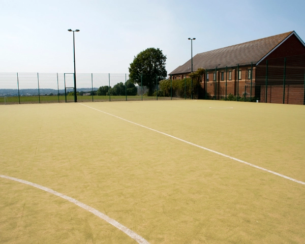 Downham Lower Fields