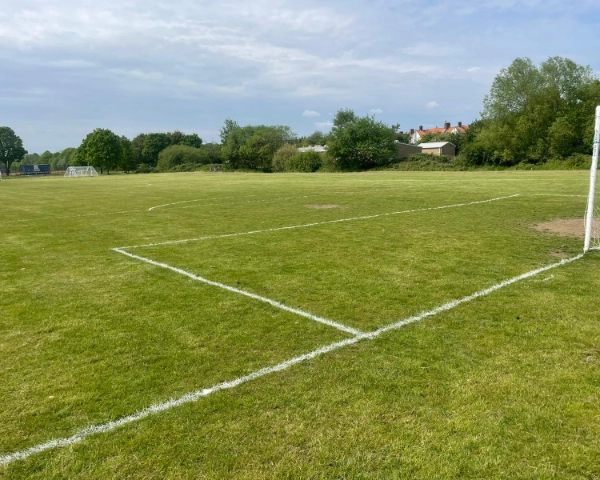 Downham Lower Fields